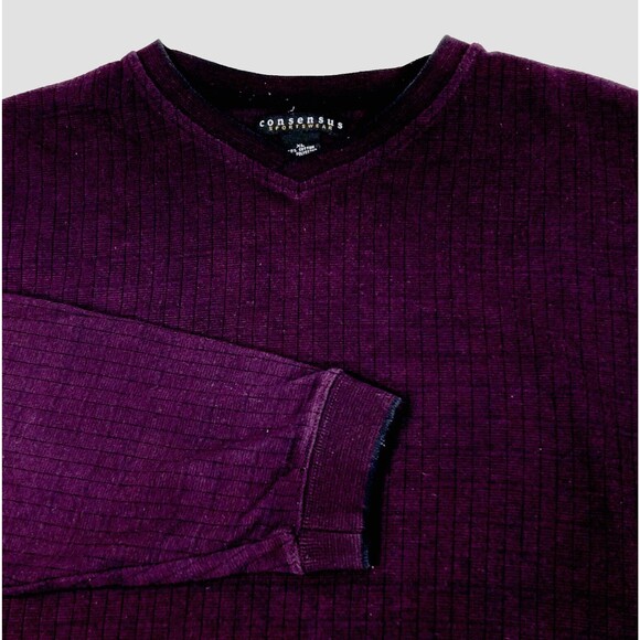 Consensus Sweater Sweatshirt Purple Ribbed V-Neck XL Mens Pullover Cotton Preppy - Picture 1 of 12